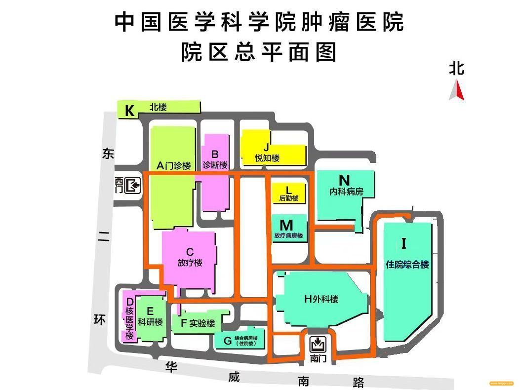 中国医学科学院肿瘤医院院区总平面图.jpeg