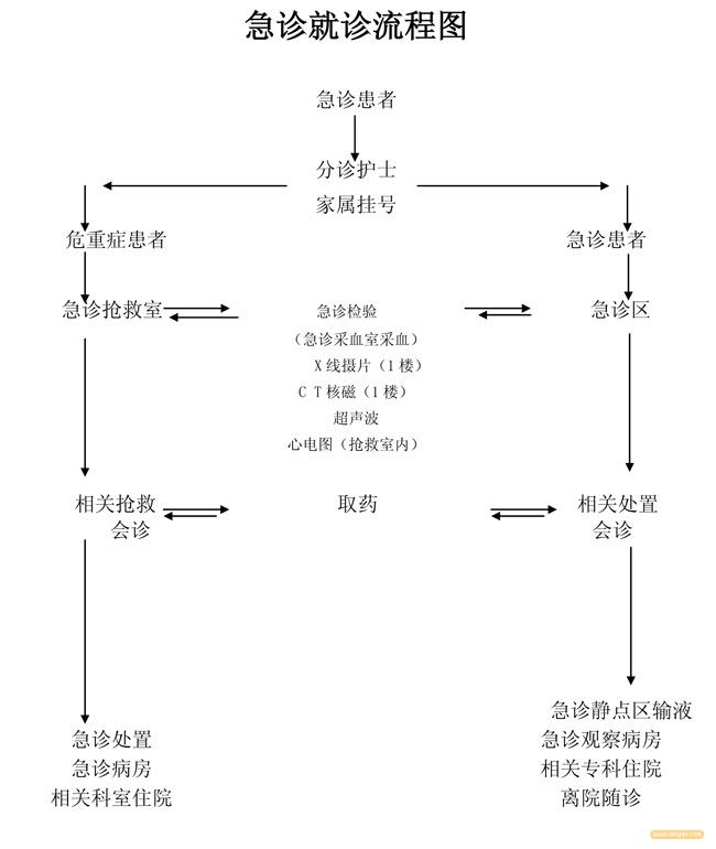 急诊就诊流程图1(1).jpg